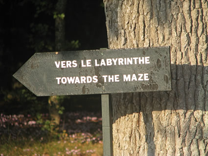 Maze